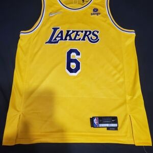 Nike LeBron James Los Angeles Lakers Icon Edition Swingman jersey.